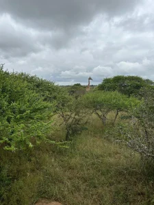 Outdoor Skills Training