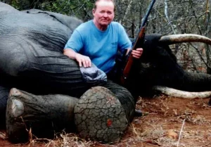 Wildlife Conservation Experience