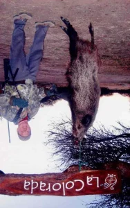 Nature And Wildlife Adventure