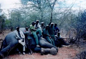 Nature And Wildlife Adventure