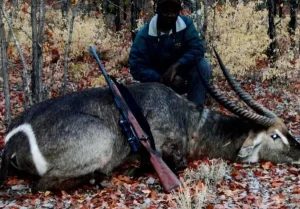 Guided Hunting Experience