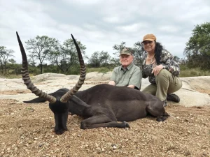 Wildlife Safari Experience