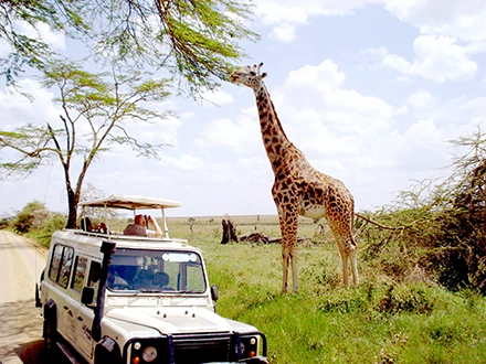 outdoor Family Safari Adventures